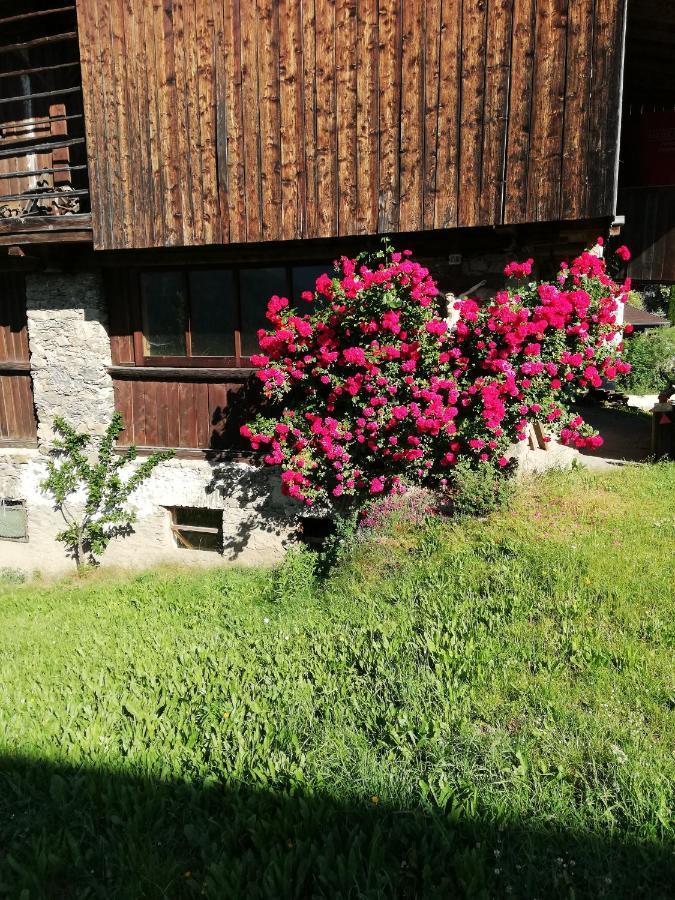 Oberlienz Ledererhof 빌라 외부 사진